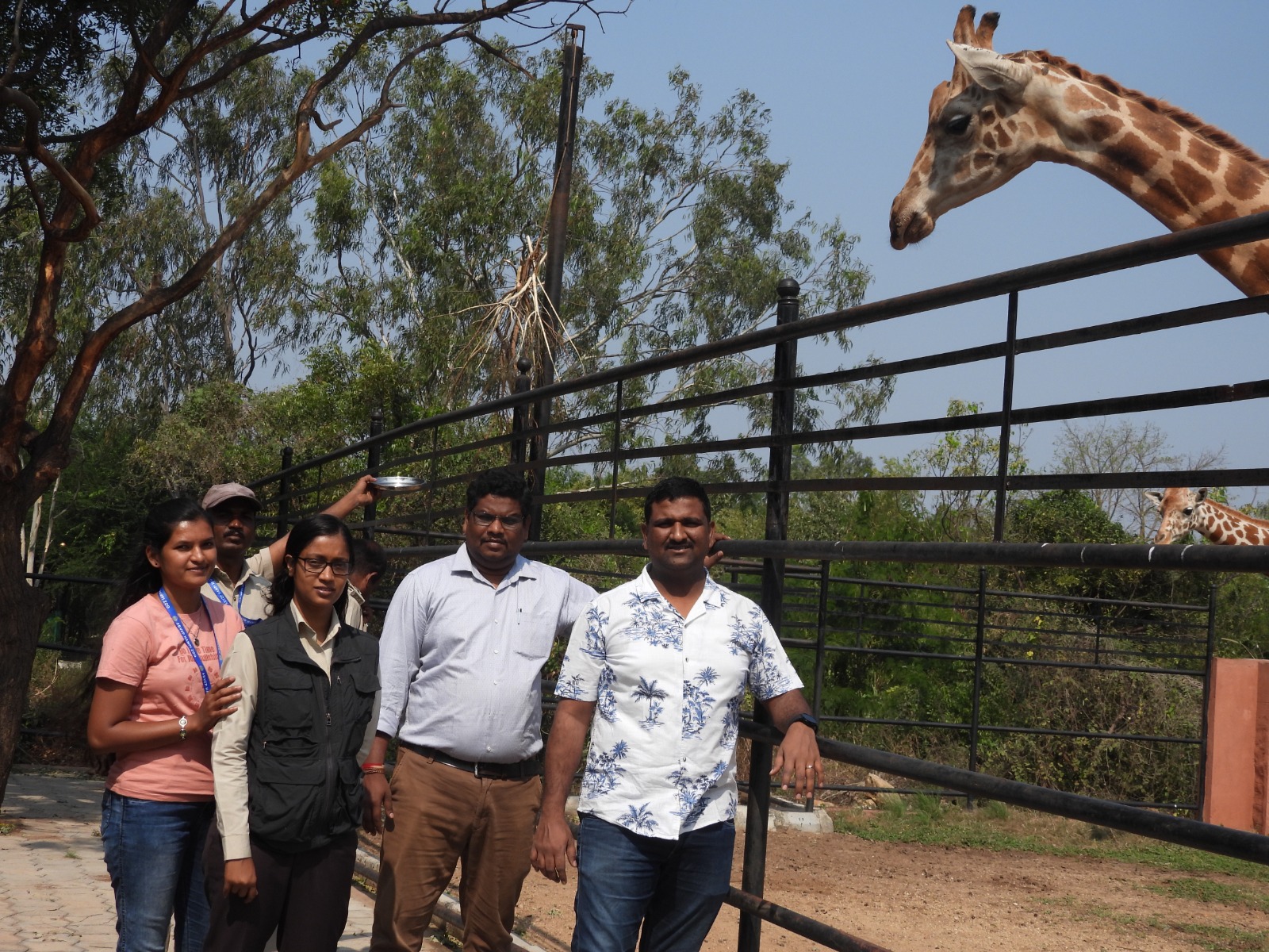 Giraffe day celebration at the zoo.